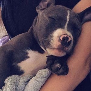 Meet your Posher, Chelsea